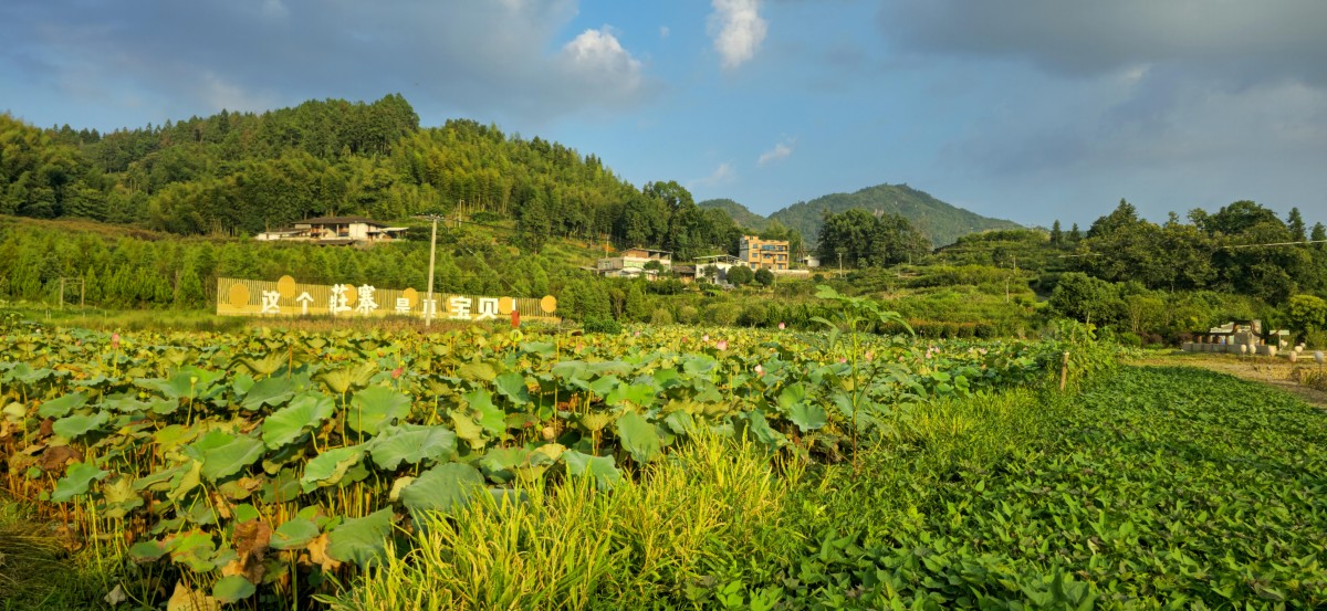 福建省永泰县同安镇：打好“三张牌