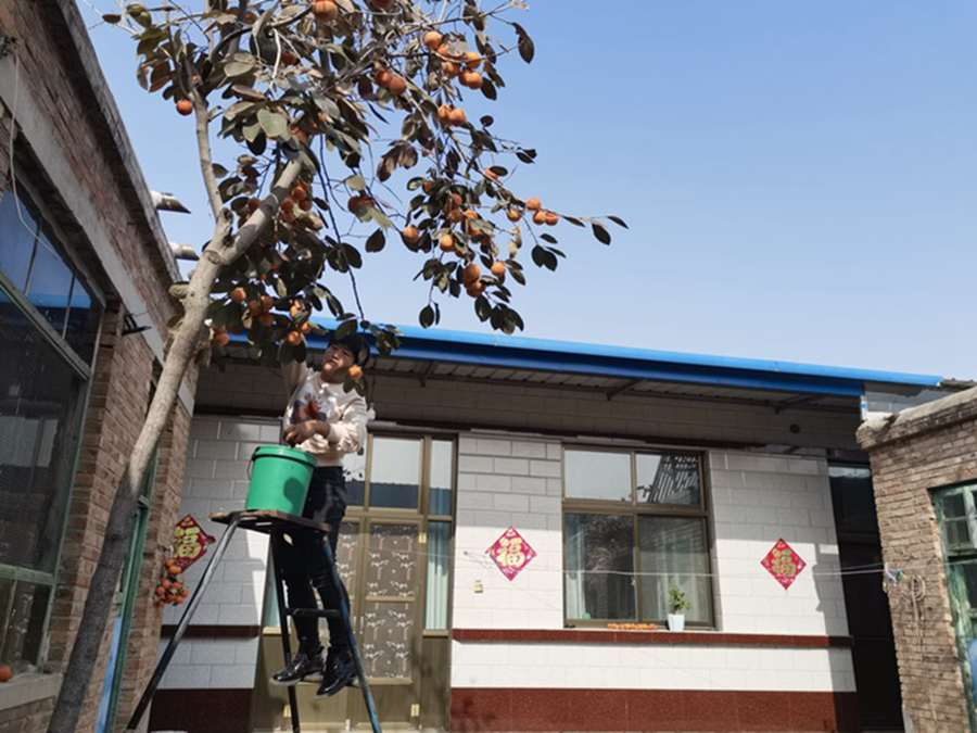 福建邱瑞坤_邱鹏瑞 许卫_邱瑞