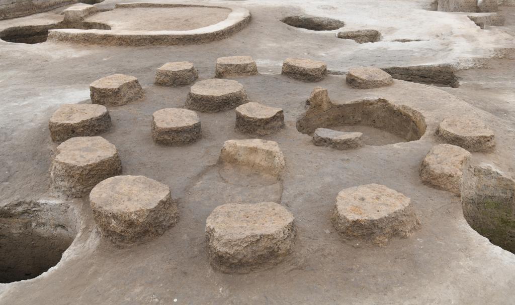 豫东地区考古发现4000年前夏代“粮仓”-新华网