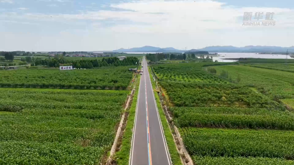 美麗路·幸福路丨“彩虹路”串起118個村的致富夢