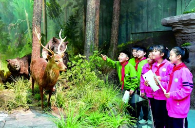 博物馆研学,在行走的课堂中品读世界 博物馆研学,在行走的课堂中品读世界