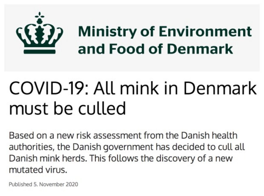 Denmark Vows "full Transparency, Resolute Measures" In Addressing Mink ...