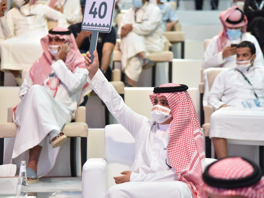 Saudi Falcon Auction Sees Ultra-White Hur Falcon Fetch $146,000