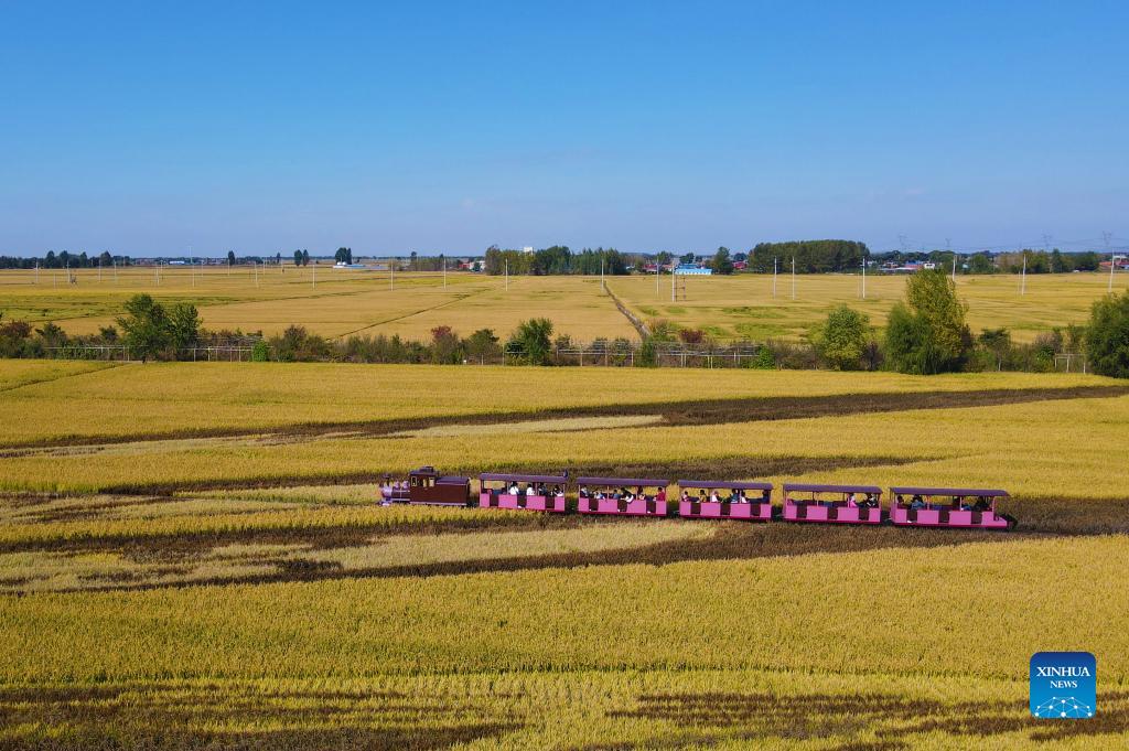 rural-view-on-national-day-in-china-xinhua