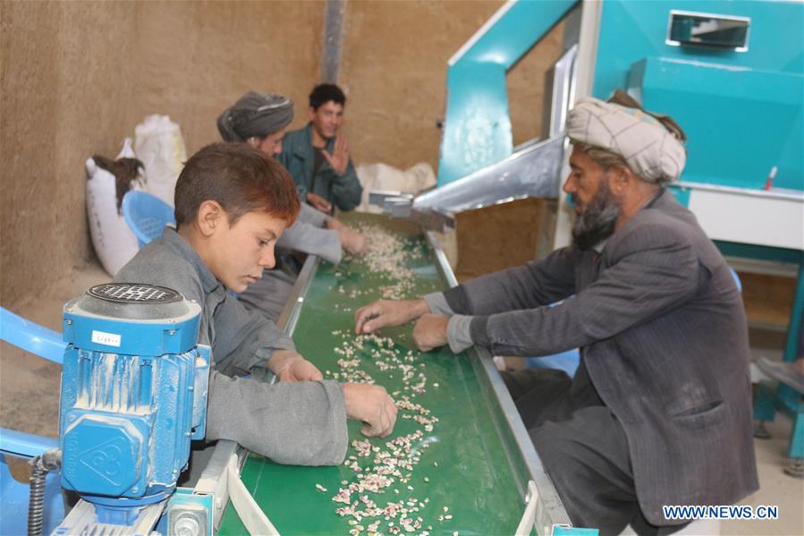 AFGHANISTAN-BADGHIS-PISTACHIO-FACTORY