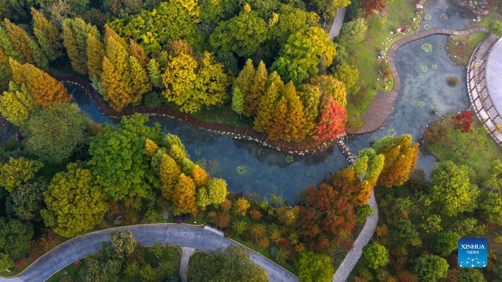 In Pics: Autumn Scenery Across China - Xinhua