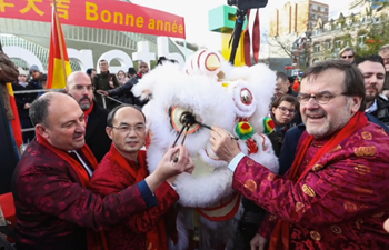 Chinese Spring Festival Parade in Liege
