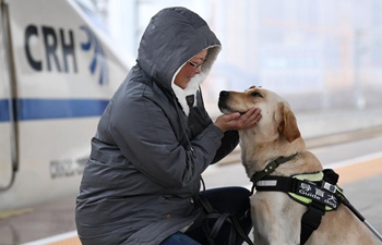 Guide dogs trained to help visually impaired passengers during Spring Festival travel rush