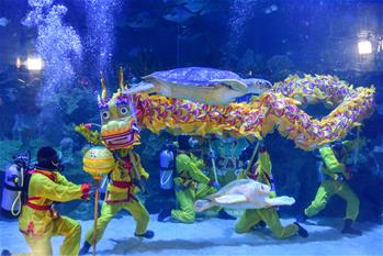 Divers perform underwater dragon dance in Kuala Lumpur, Malaysia