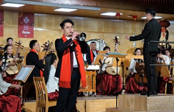 Chinese Lunar New Year concert held in Opole, Poland