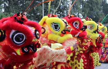 Lion dance performed to celebrate Chinese Lunar New Year in Phnom Penh