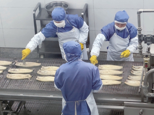 国鳗:如何从零到世界第一? 国鳗:如何从零到世界第一?