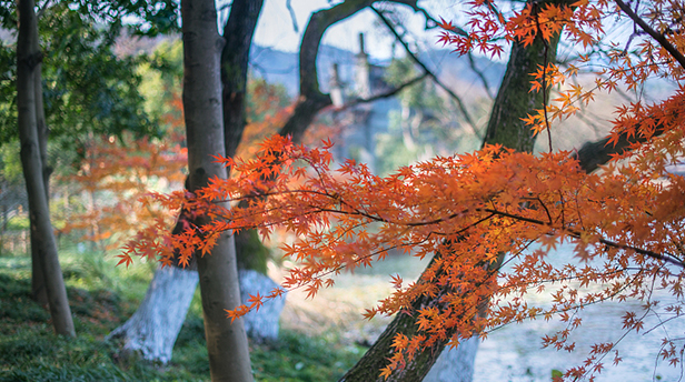 5A景区再扩容，有哪些新趋势