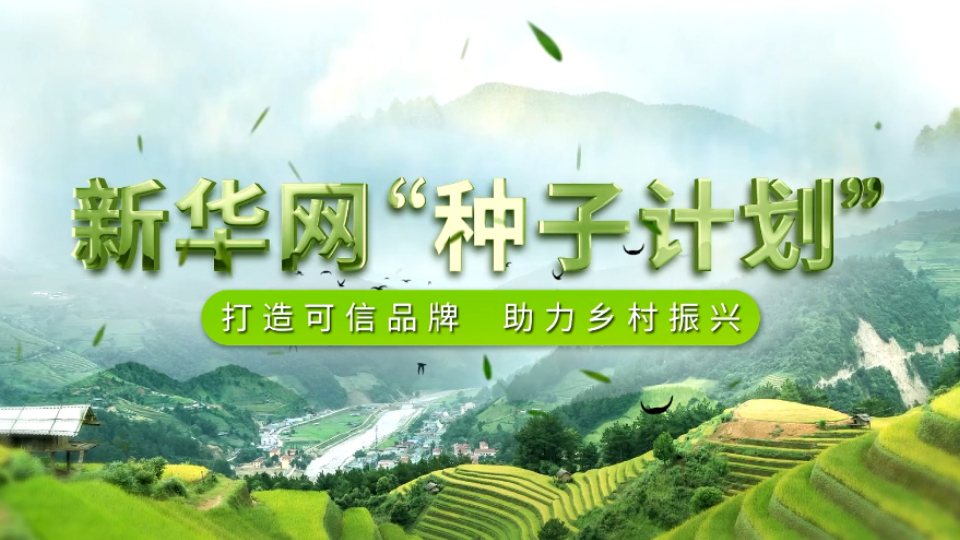 新華網“種子計劃”線上盛大啟動 百企千品入駐溯源中國可信品牌生態矩陣