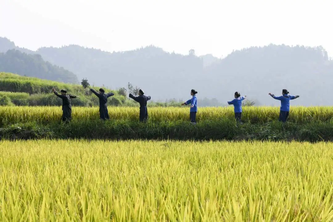 newsImg/9a2cb4a36f3d4824b023a999078aca63.jpeg newsImg/9a2cb4a36f3d4824b023a999078aca63.jpeg