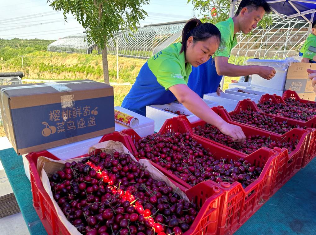 联足旅游拿去“待且”(待客)