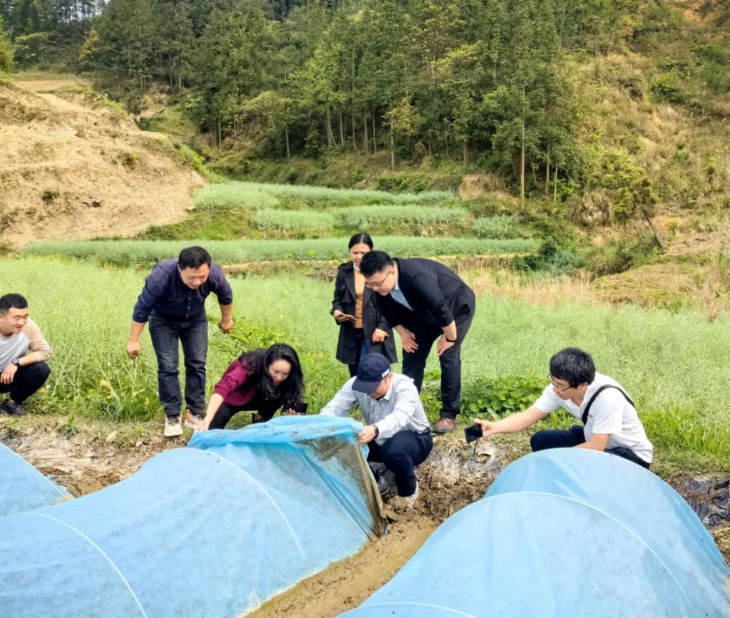 山海情少，共富交响