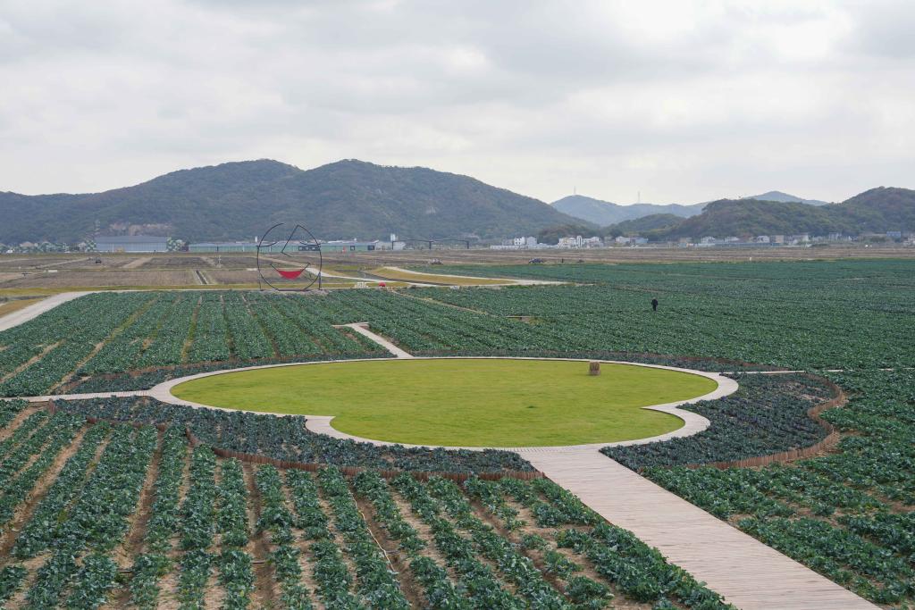 下量量死少调研止｜浙江岱山：聪慧农业开释旺盛潜能