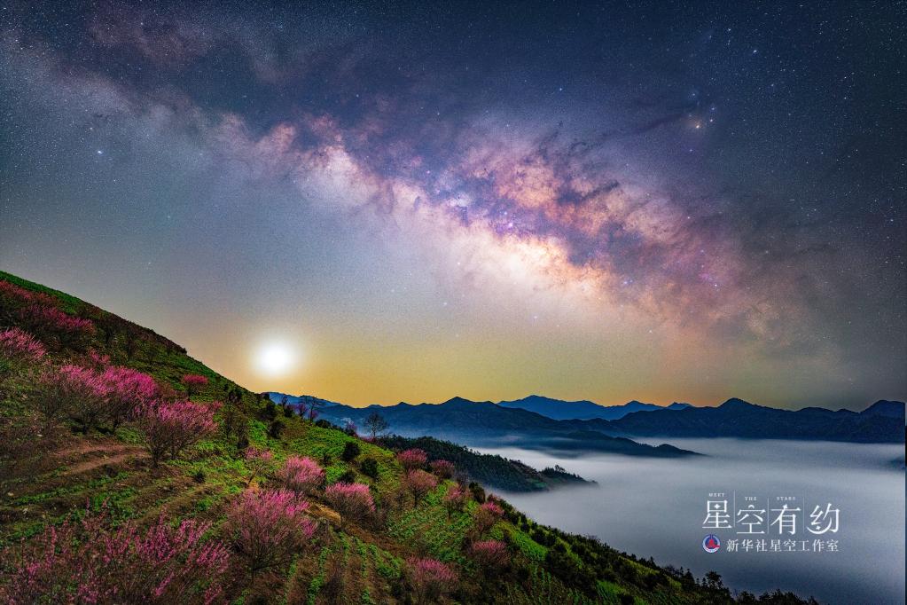 明媚四月业内人士教你拍摄绝美的“花语星空”大片(图4)