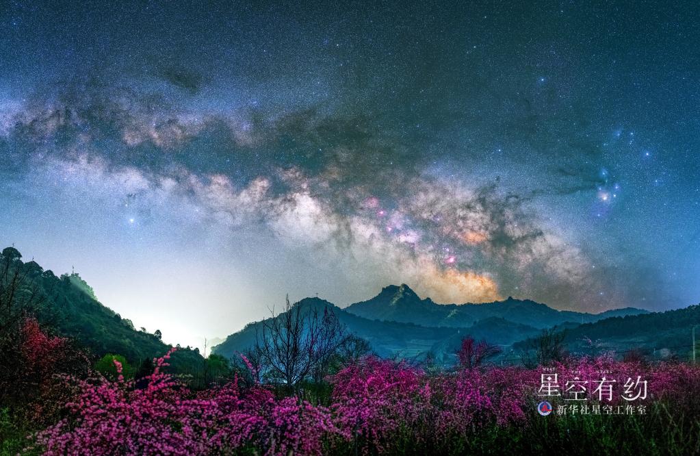 明媚四月业内人士教你拍摄绝美的“花语星空”大片(图5)