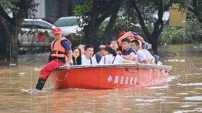 高质量发展调研行 | 绿了坡地