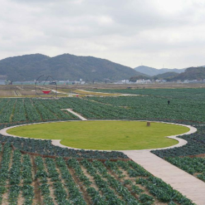 高质量发展调研行丨浙江岱山：智慧