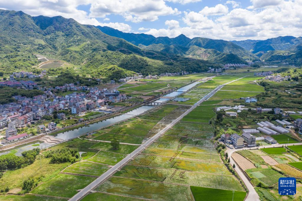 “乡村梦想家”人才进村助力乡村振