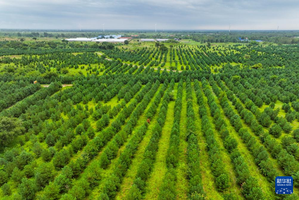 飞阅中国｜东北地区筑牢生态屏障-