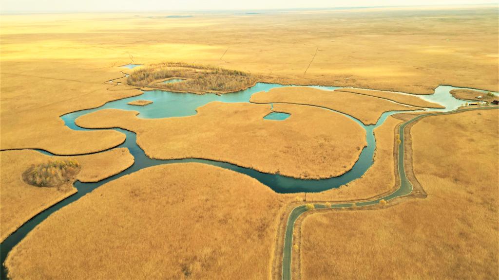 濕地之美丨黑龍江扎龍國家級自然保護區