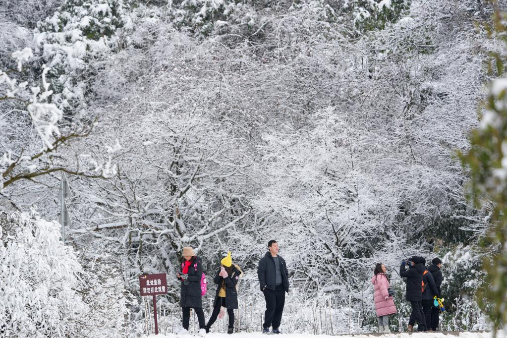 重慶：冰雪經濟催動金佛山冬季旅遊實現“開門紅”