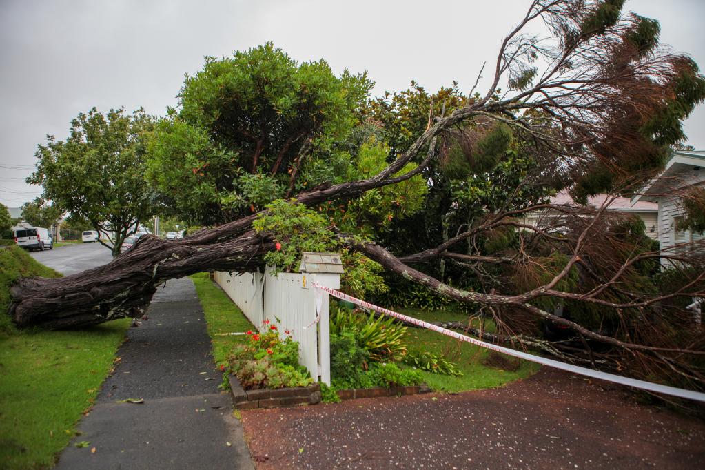 新西蘭政府宣布進入國家緊急狀態應對颶風災害