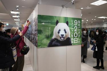 東京：大熊貓攝影展