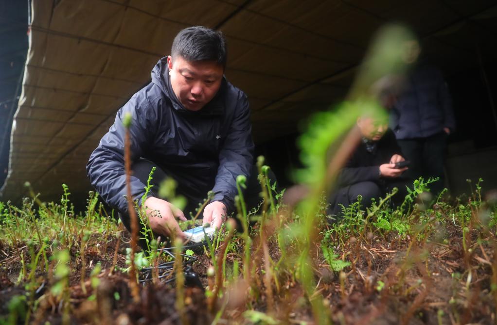 闰二月的年份有哪些？2023最新时间表闰二月多少年一次？