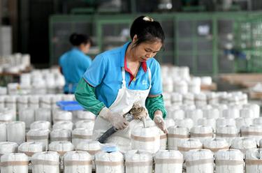福建德化：陶瓷企業生産忙