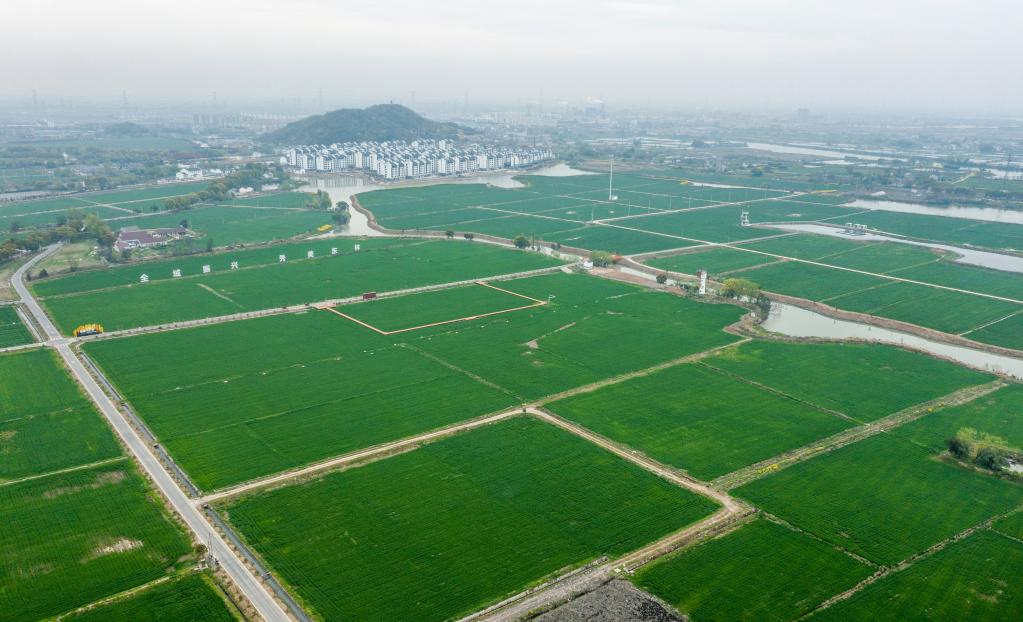 浙江湖州：全域土地綜合整治助力美麗鄉村建設