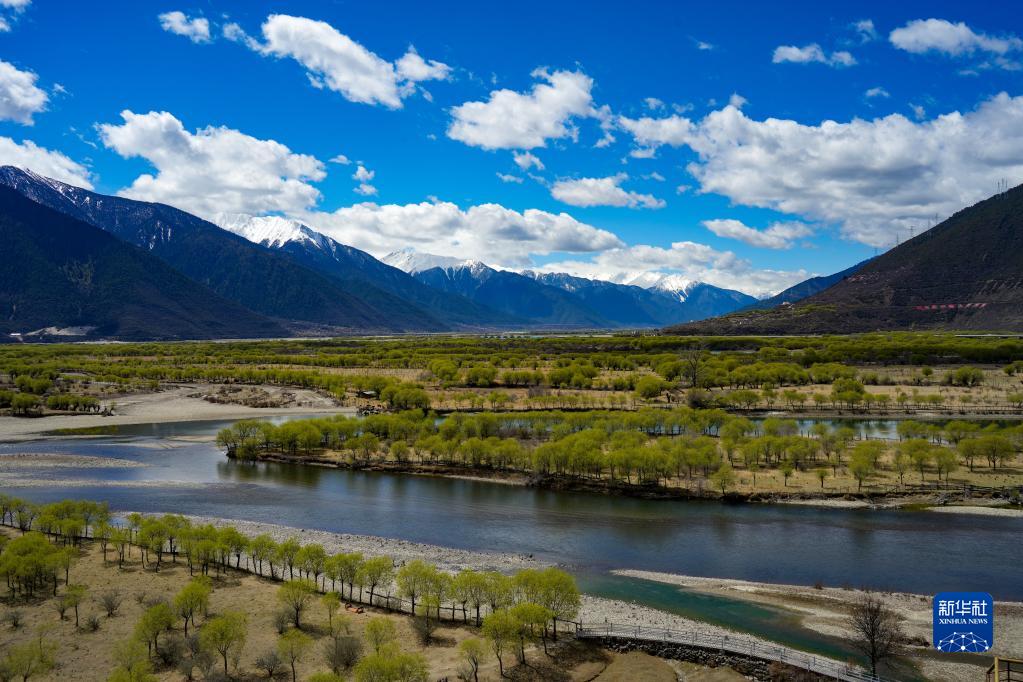西藏雅尼國家濕地公園春光美