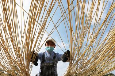 貴州赤水：竹産業助力鄉村振興