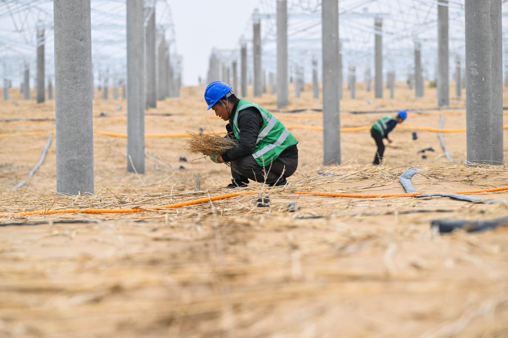 为什么壁虎可以“飞檐走壁”？蚂蚁庄园4月27日小鸡答题答案