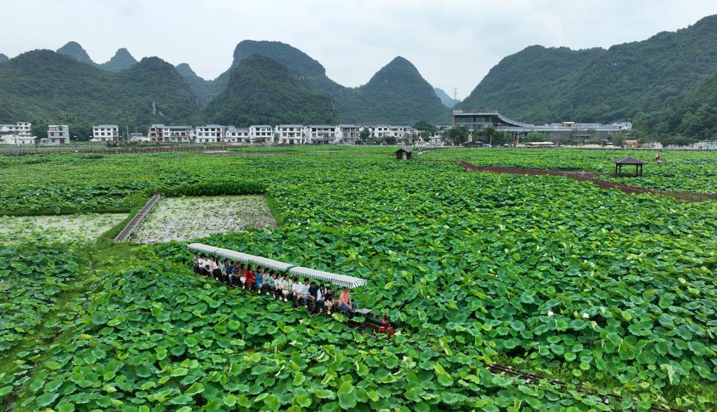 以下哪项属于社会组织等级评估的内容？蚂蚁庄园6.15今日答案