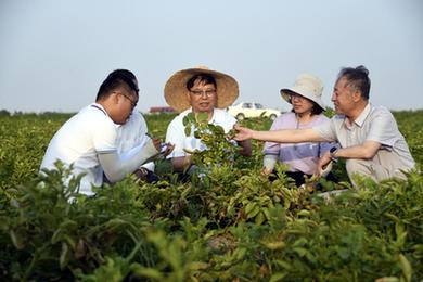 以下哪一个是古人对茶的雅称？蚂蚁庄园6.28今日答案