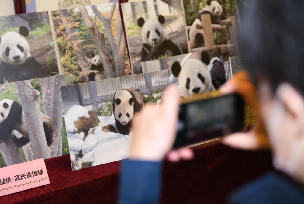 日本東京：為大熊貓“比力”慶生