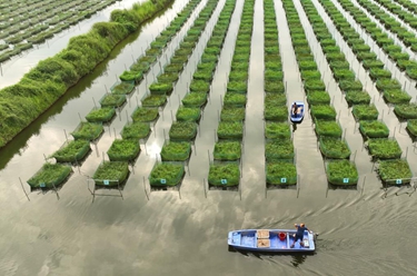 湖南衡陽：特色養殖助農增收