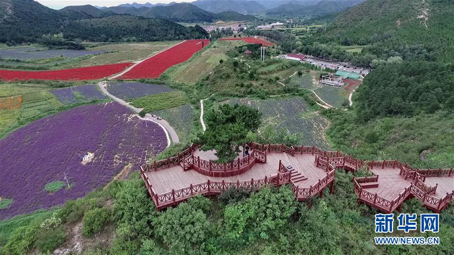 （十九大·读报告 话民生）（10）加快生态文明体制改革，建设美丽中国