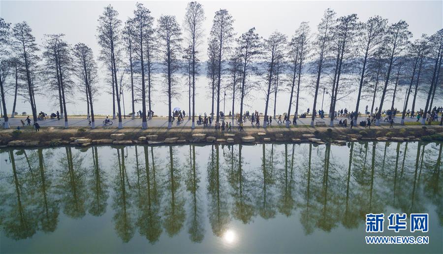 （十九大·读报告 话民生）（13）加快生态文明体制改革，建设美丽中国