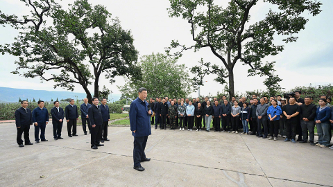 习近平：乡村振兴要靠产业，各地要各展其长