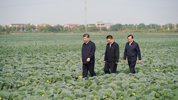 习近平：推进中国式现代化，必须加快推进乡村振兴