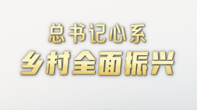 第1视点｜总书记心系乡村全面振兴