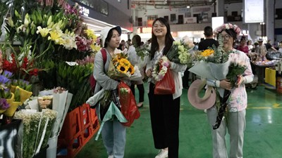 第1视点丨“云花”,事业兴旺生活美