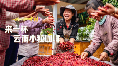 一眼心动的中国丨来一杯云南小粒咖啡