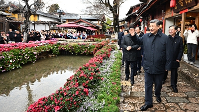习近平在云南丽江市考察调研
